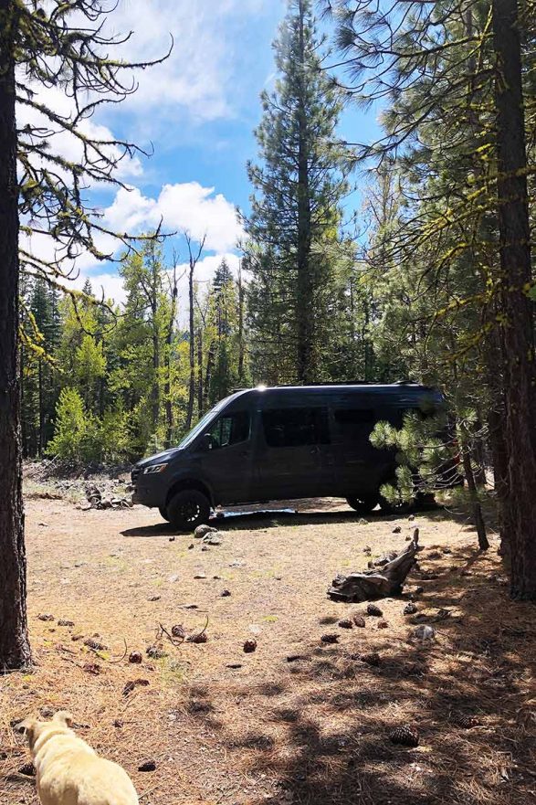 More Views Near Lassen