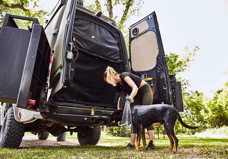 Tips-for-the-Best-Van-Life-Dogs