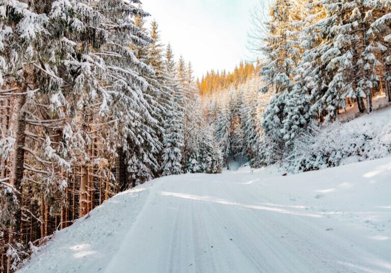 daniel-j-schwarz-w0eeWGAhLiI-unsplash